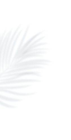 feather img left